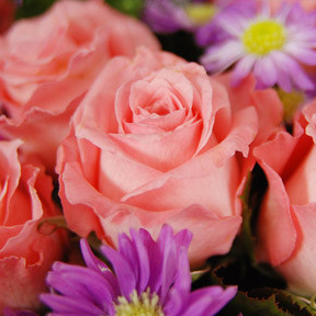 【巧繪網—網路花店】FR530138 ‧黑色浪漫=玫瑰花束‧當季新鮮花材‧傳情花束生日禮物