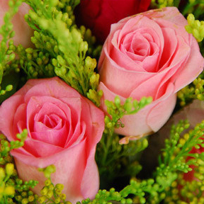 【巧繪網—浪漫花束花禮】FR040132 網路花店‧雅典步道‧雙色玫瑰花束+當季花材