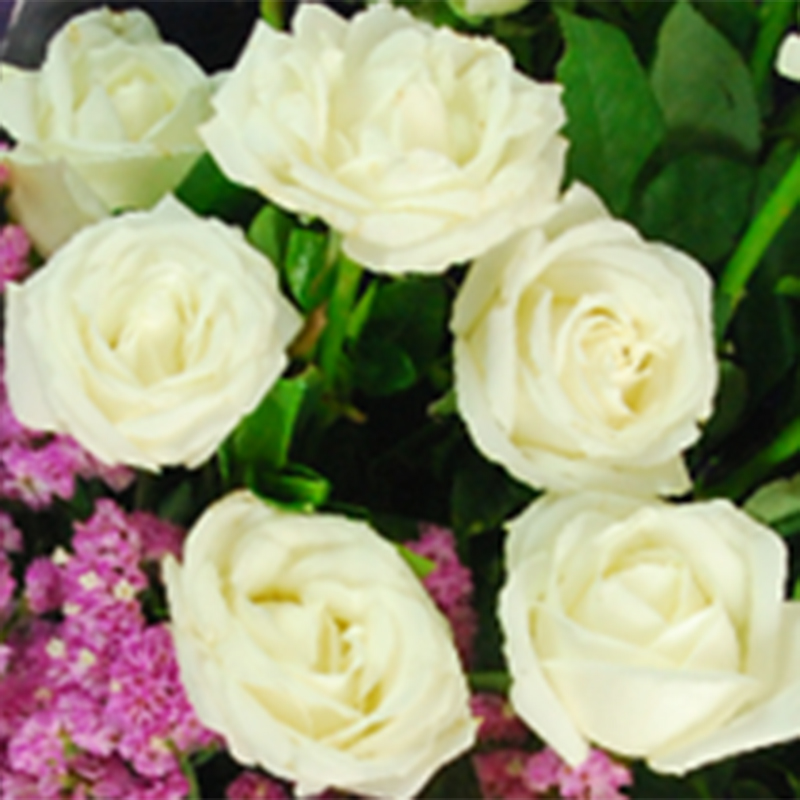 【巧繪網—浪漫花束】FR030053 網路花店‧白色溫柔=20朵白玫瑰+當季新鮮花材