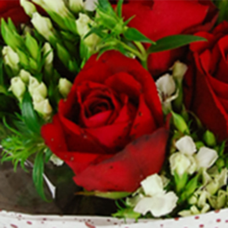 【巧繪網—浪漫花束花禮】FR520125 網路花店‧傳情=９朵紅玫瑰花束+當季花材