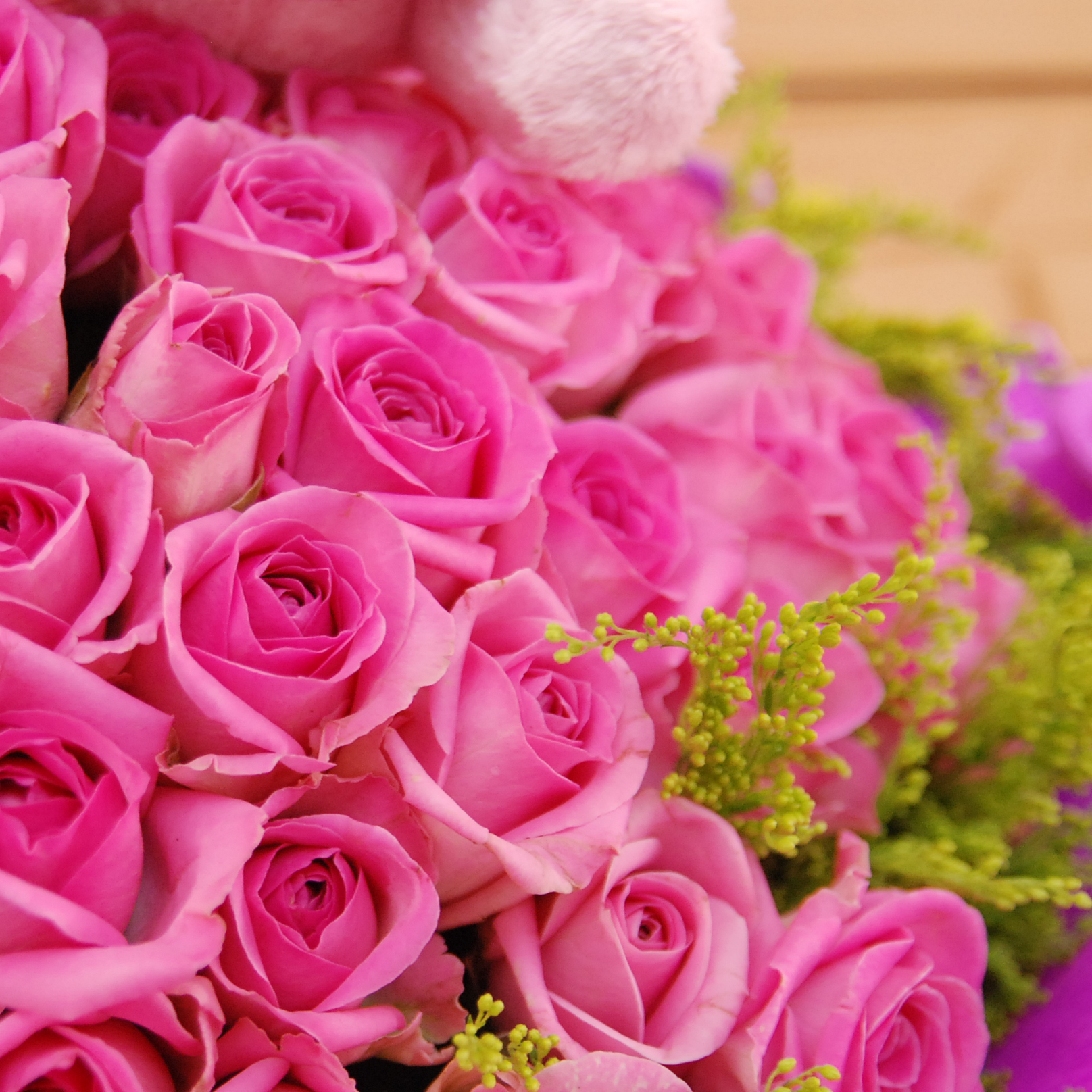 【巧繪網FR081411C 】情人最愛 99朵 紫玫瑰 小熊花束 情人節花束 七夕禮物