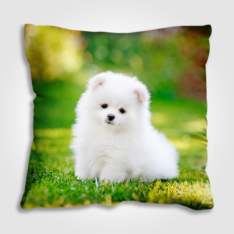 custom-pillow-pictures-pillowcase 客製化寵物抱枕 寶寶 汽車靠墊沙發抱枕| 家飾擺設 亞麻 寶寶絨