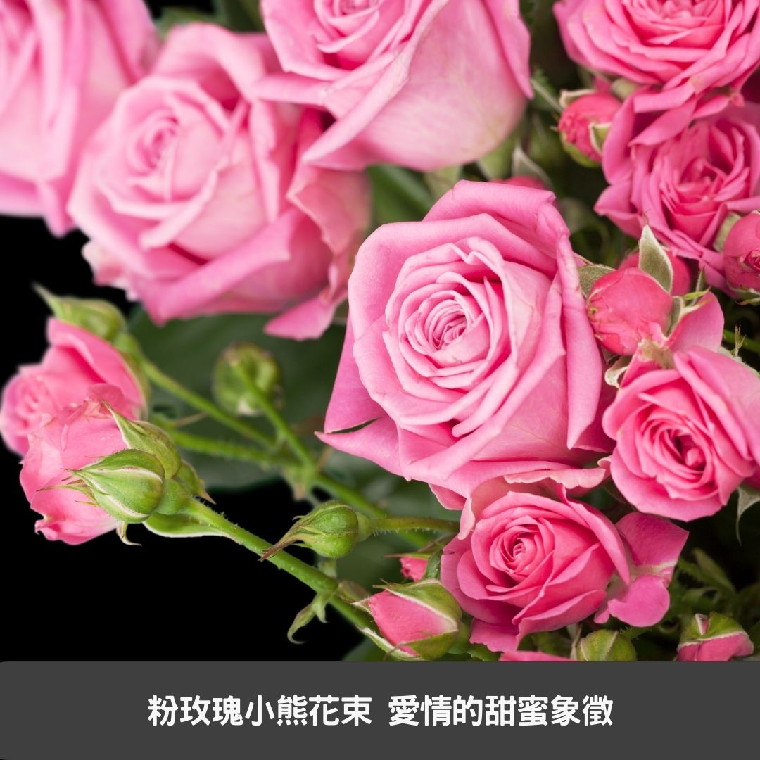 粉玫瑰小熊花束 愛情的甜蜜象徵