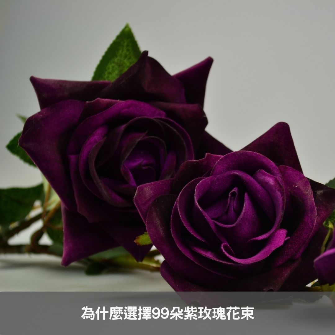 為什麼選擇99朵紫玫瑰花束