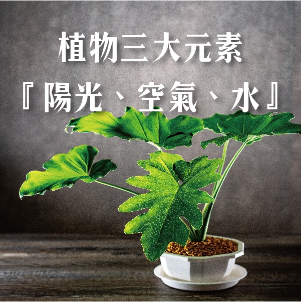 植物三大要素