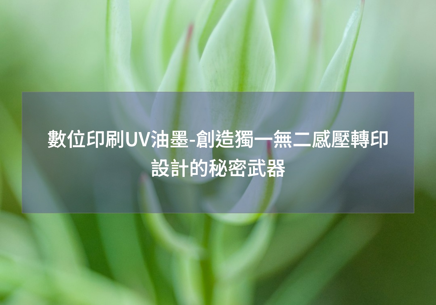 數位印刷UV油墨-創造獨一無二感壓轉印設計的秘密武器
