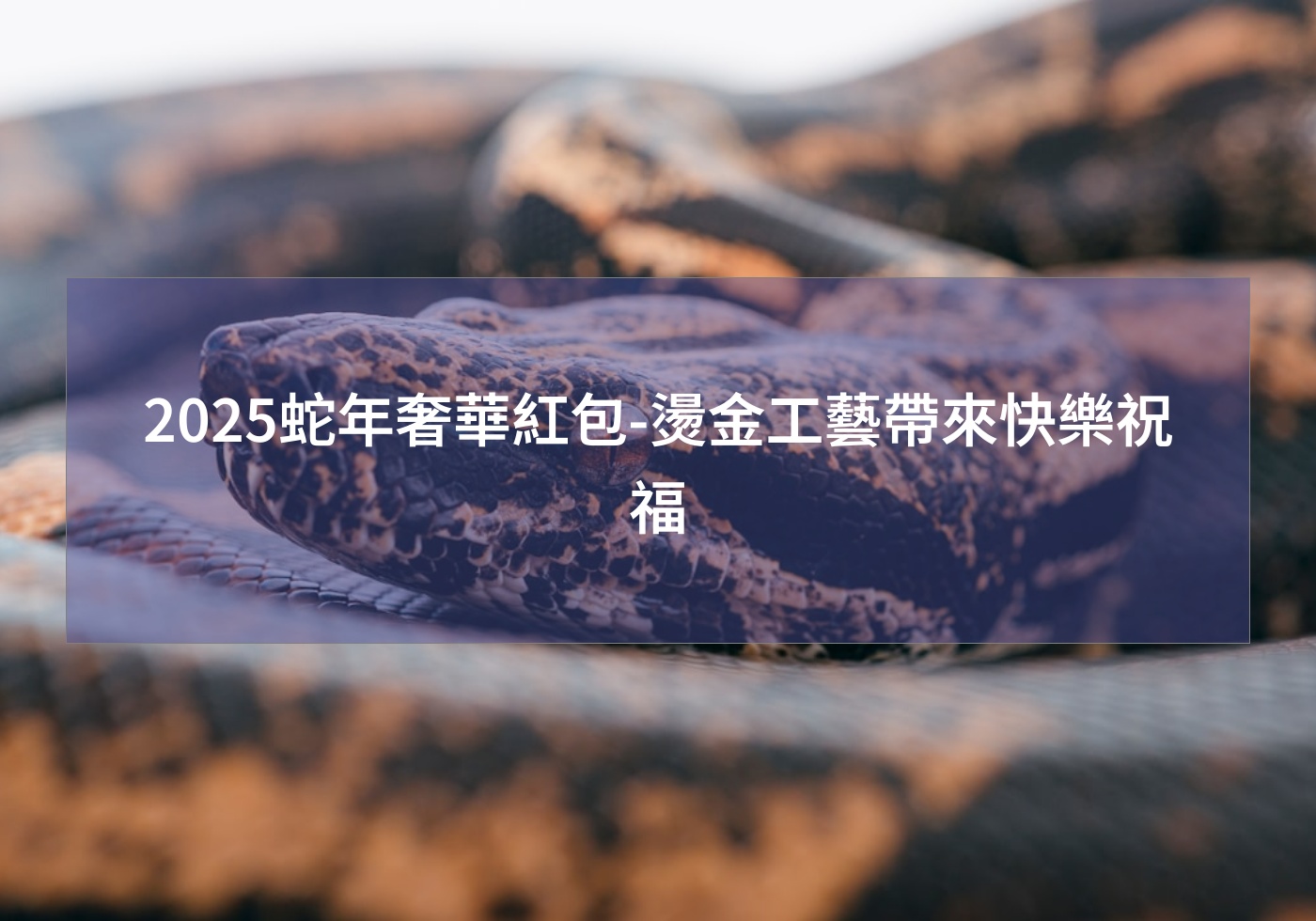 2025蛇年奢華紅包-燙金工藝帶來快樂祝福 蛇年吉祥話 紅包袋 蛇年大吉 燙金紅包 客製紅包袋 送禮 婚禮紅包