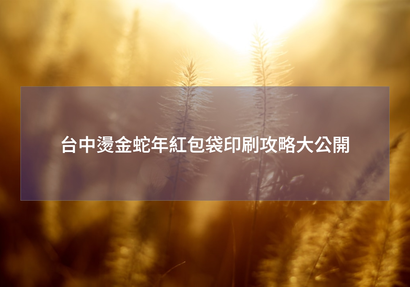 台中燙金蛇年紅包袋印刷攻略大公開 蛇年行大運 紅包材料 客製紅包燙金公司logo 燙金蛇年賀新年紅包袋 結婚紅包袋 2025紅包袋 蛇年紅包