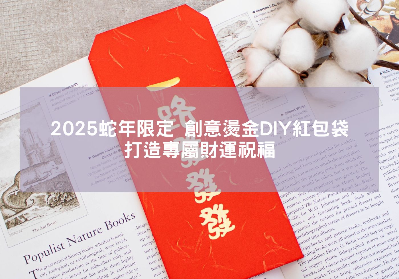 2025蛇年限定-創意燙金DIY紅包袋，打造專屬財運祝福 紅包材料 燙金紅包袋 客製紅包 2025祝福 燙金蛇年賀新年紅包袋 結婚紅包袋 蛇年紅包